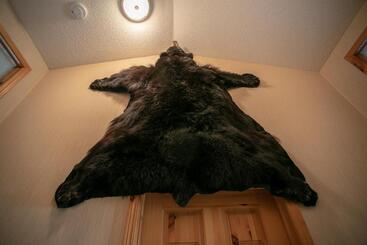 فندق Banff National Park Wood Lodge