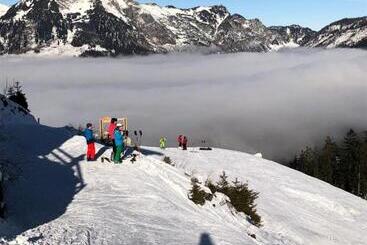 Apartment Goisernperle