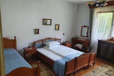 Pensiunea Aurora Albac