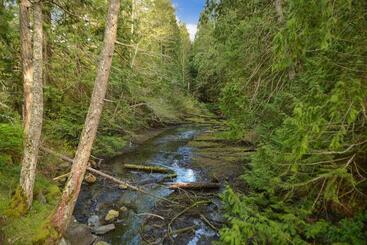 ツーリストアパートメント Dragonfly Cottage