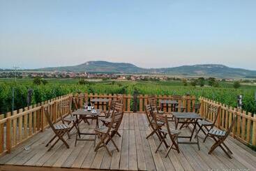 펜션 Penzion A Vinařství Lelíkovi