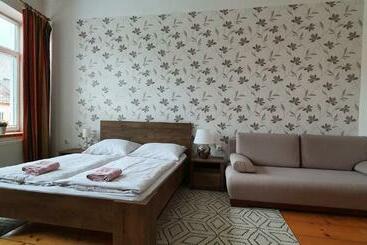 膳宿费 Penzion Zámecký Park