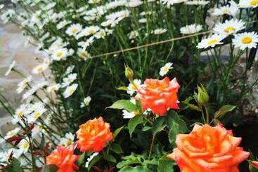 ペンション къща за гости виктория