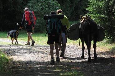 住宿加早餐 La Chaumière D Alambre