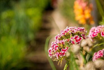 호스텔 Pension Wiesenrain