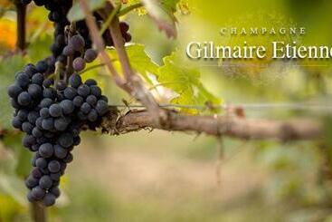 Bed and Breakfast L Appentis