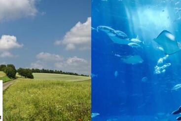 آپارتمانهای توریستها Studio Cosy 5