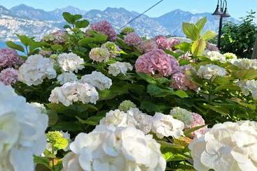 호텔 B&b Casa Sartori