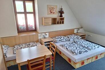 펜션 Penzion U Vorlíčků