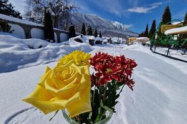 Pensiunea Casa Zarnesteana