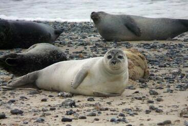 شقق خاصة سياحية Gîte Des Falaises