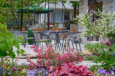 بنسيون вила влахов