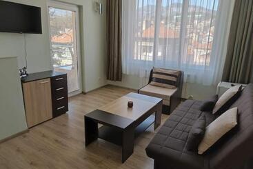 بنسيون приятелската къща