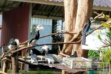 بنسيون Eco Bungalow