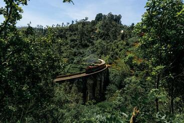 بنسيون Ella Green Stay