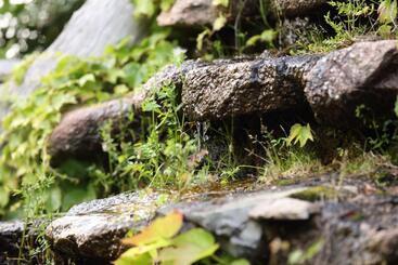 בית מלון כפרי L Agnata Di De André Boutique