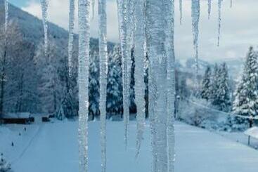 בית מלון כפרי Troyer