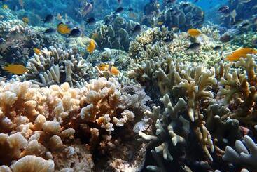 ベッドアンドブレックファースト Menjangan View