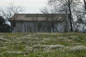 ツーリストアパートメント Roman Countryside! House Surrounded By Nature