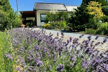 ツーリストアパートメント Ferienhaus Amare Mit Eigener Terrasse, Sauna & Kamin