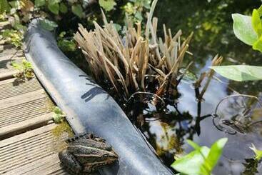 관광객 아파트 La Maison Bleue De Husseau Ancienne Ferme Semi Troglodytique 18e Siècle