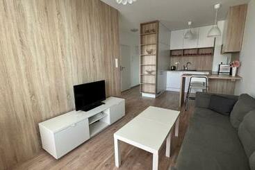 Apartamenty turystyczne 2 Room Apartment With Terrace, Prievozska Street