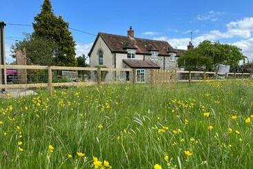 ツーリストアパートメント Charming Modernized Country Cottage Near Mere, Wiltshire