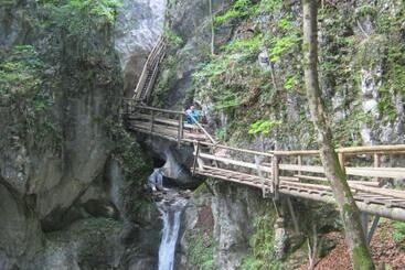 Сельский дом Bio Urlaubshof Dansbach