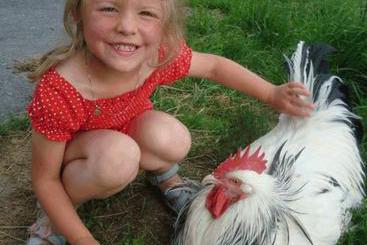 Отель Ederhütte