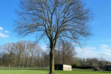 游客公寓 De Oude Es