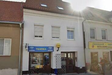 דירות לתיירים Apartmán Soběslav