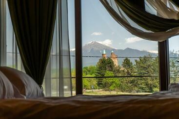 Жильё для туристов Chateau Gremisio