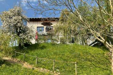 游客公寓 Moselglück