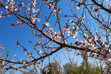 游客公寓 Entre Viñas, Sol Y Montañas