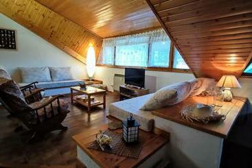 ツーリストアパートメント Apartamento Muy Céntrico Con Vistas   El Niuet De Sort