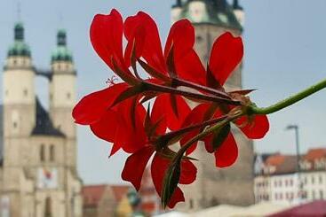 游客公寓 Budget Rooms In Halle With Shared Bathroom, Free Wifi, Netflix & Ipad