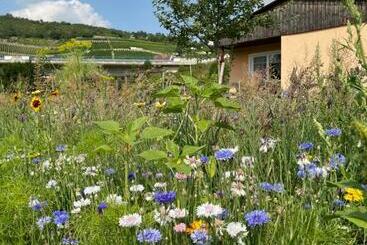 ツーリストアパートメント Ferienhaus Gutedel