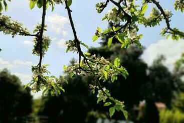 Жильё для туристов Quinta Da Maínha   Charming Houses