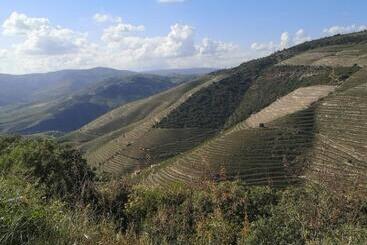 شقق خاصة سياحية Douro Valley   Casa Da Praça