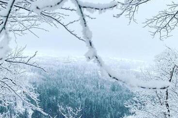 관광객 아파트 Ferienwohnung Frankenwald