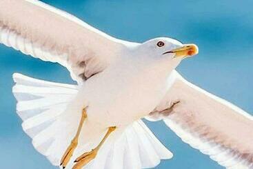 شقق خاصة سياحية Ocean Breeze Casita