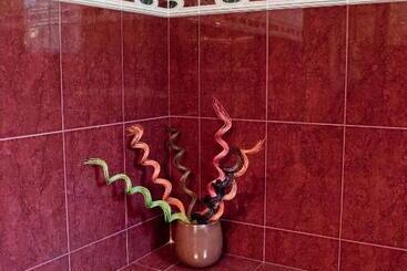 Отель Pensiunea Vlad