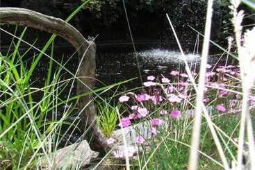 هتل Christchurch City & Country Cottages   Nut Point Cottage
