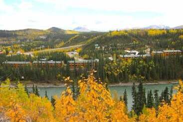 فندق Denali Grizzly Bear Resort