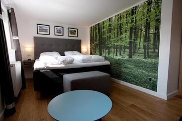 Отель Kongensbro Kro