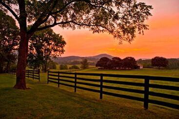酒店 Marriott Ranch Bed And Breakfast