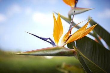 هتل Fantasy Island Resort