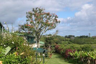 هتل Norfolk Holiday Apartments