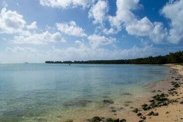 公寓 Flowers Of Paradise With Lov