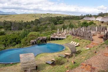 ホテル Gondwana Game Reserve